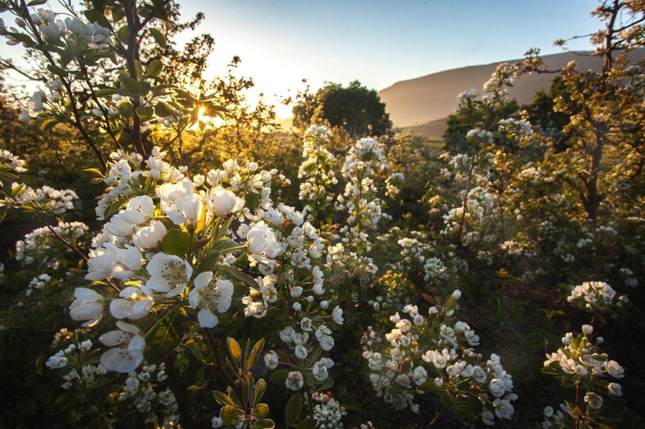Lentelus Farmstay Barrydale Dış mekan fotoğraf